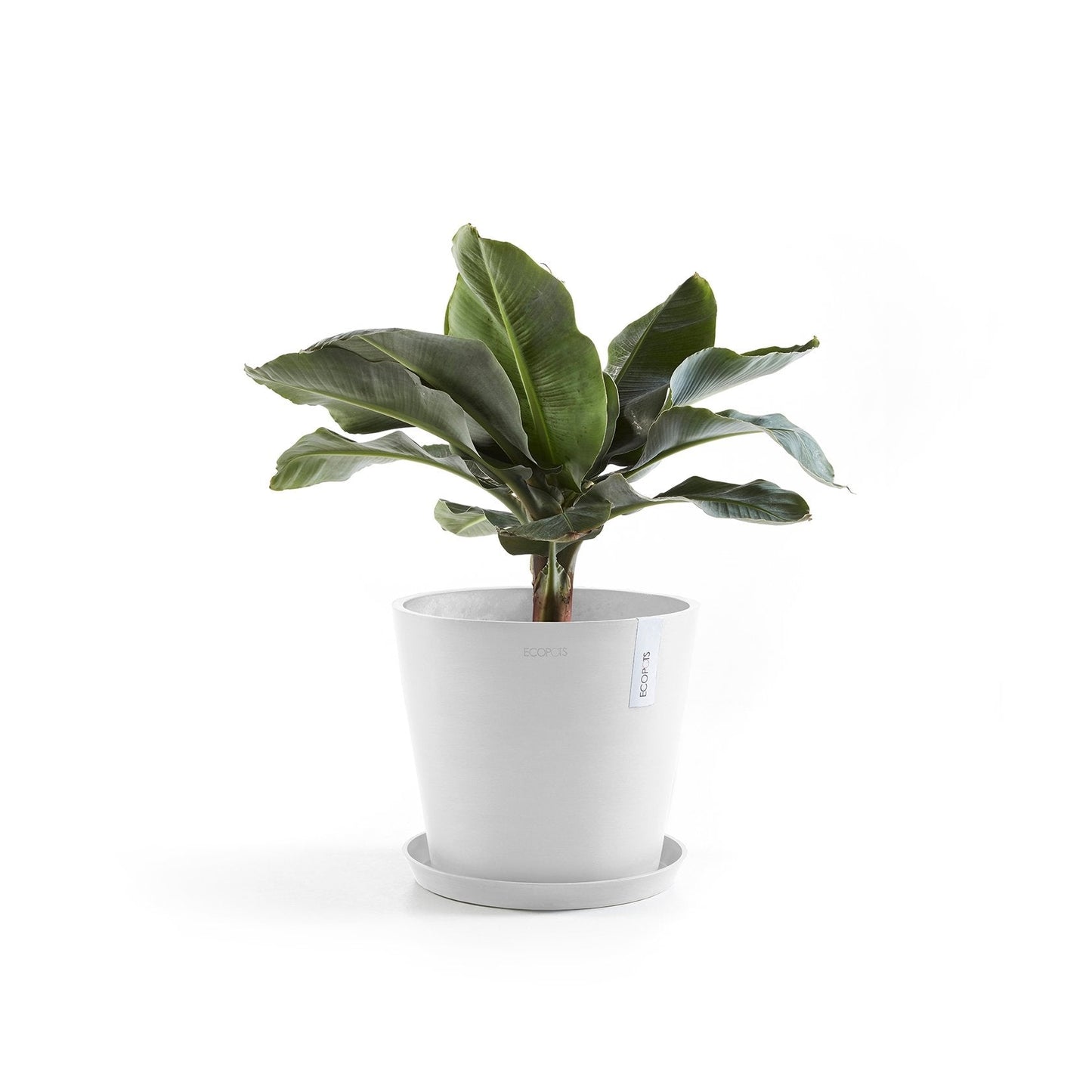 Kukkaruukku - Ecopots - Amsterdam 25cm valkoinen - Ecopotskauppa - Uuden aikakauden kukkaruukku