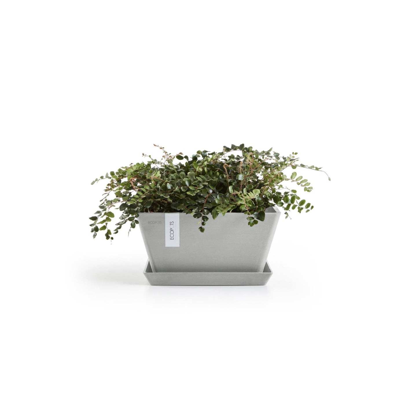 Kukkaruukku - Ecopots - Berliini 25cm valkoharmaa - Ecopotskauppa - Uuden aikakauden kukkaruukku