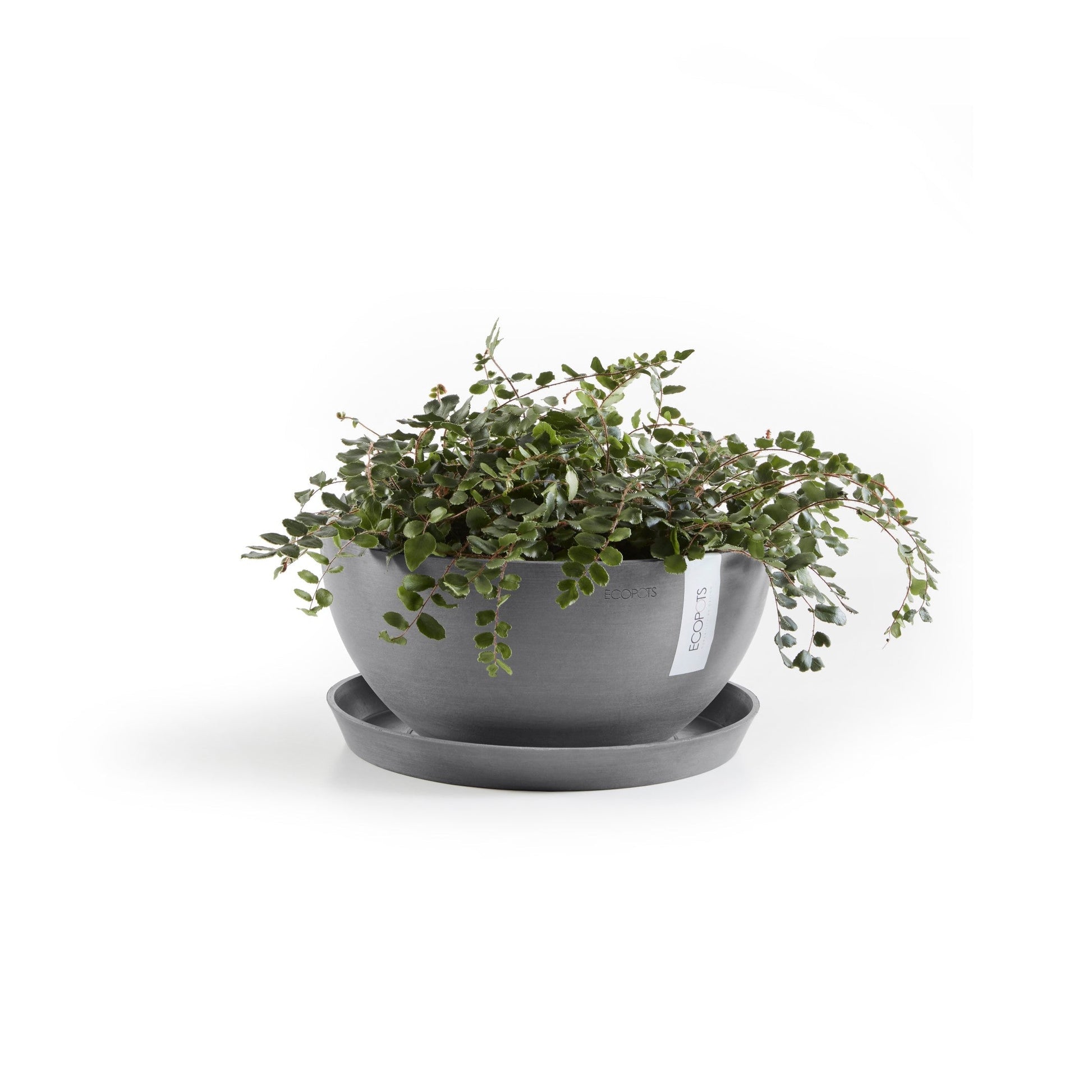 Kukkaruukku - Ecopots - Brysseli 25cm harmaa - Ecopotskauppa - Uuden aikakauden kukkaruukku