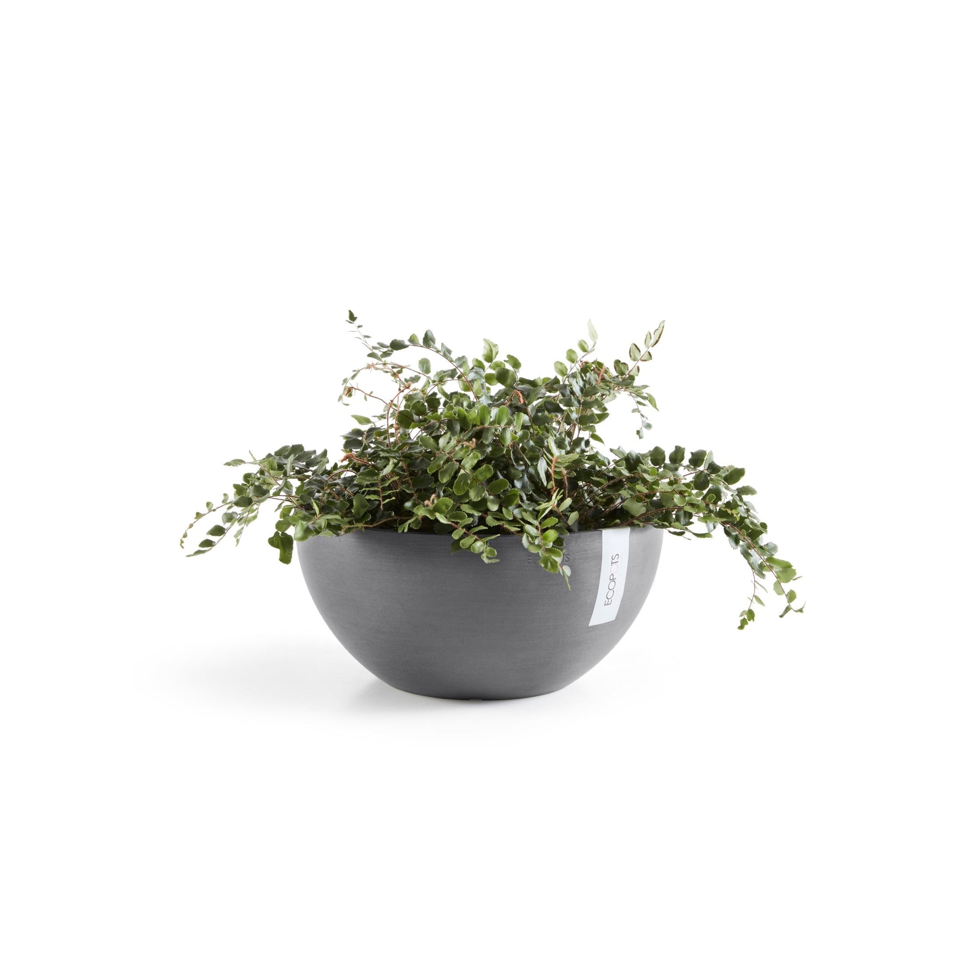 Kukkaruukku - Ecopots - Brysseli 25cm harmaa - Ecopotskauppa - Uuden aikakauden kukkaruukku