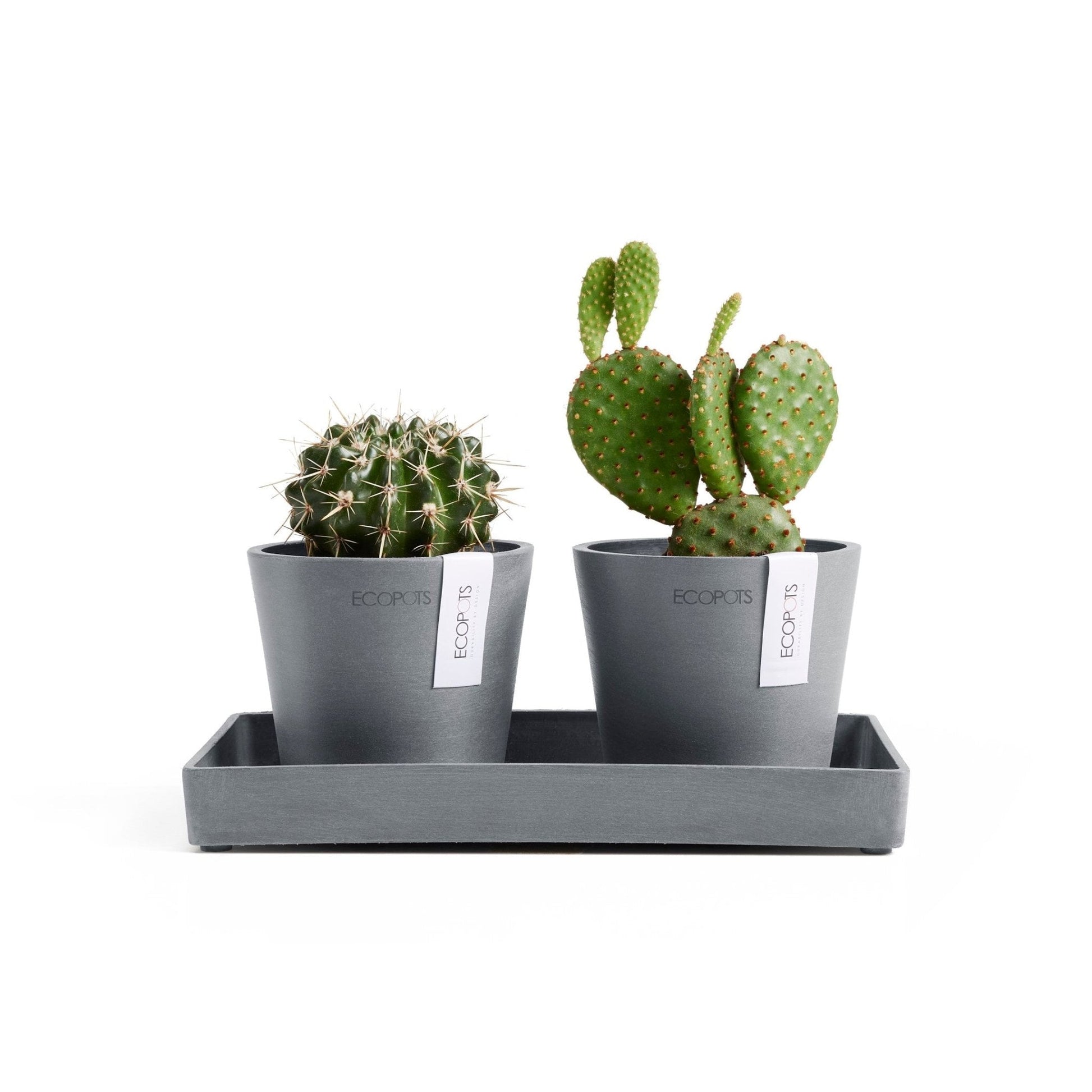 Kukkaruukku - Ecopots - Kukkaruukku Amsterdam 10,5cm 2kpl & esillepanotarjotin 25cm siniharmaa - Ecopots - Uuden aikakauden kukkaruukku kierrätysmateriaalista