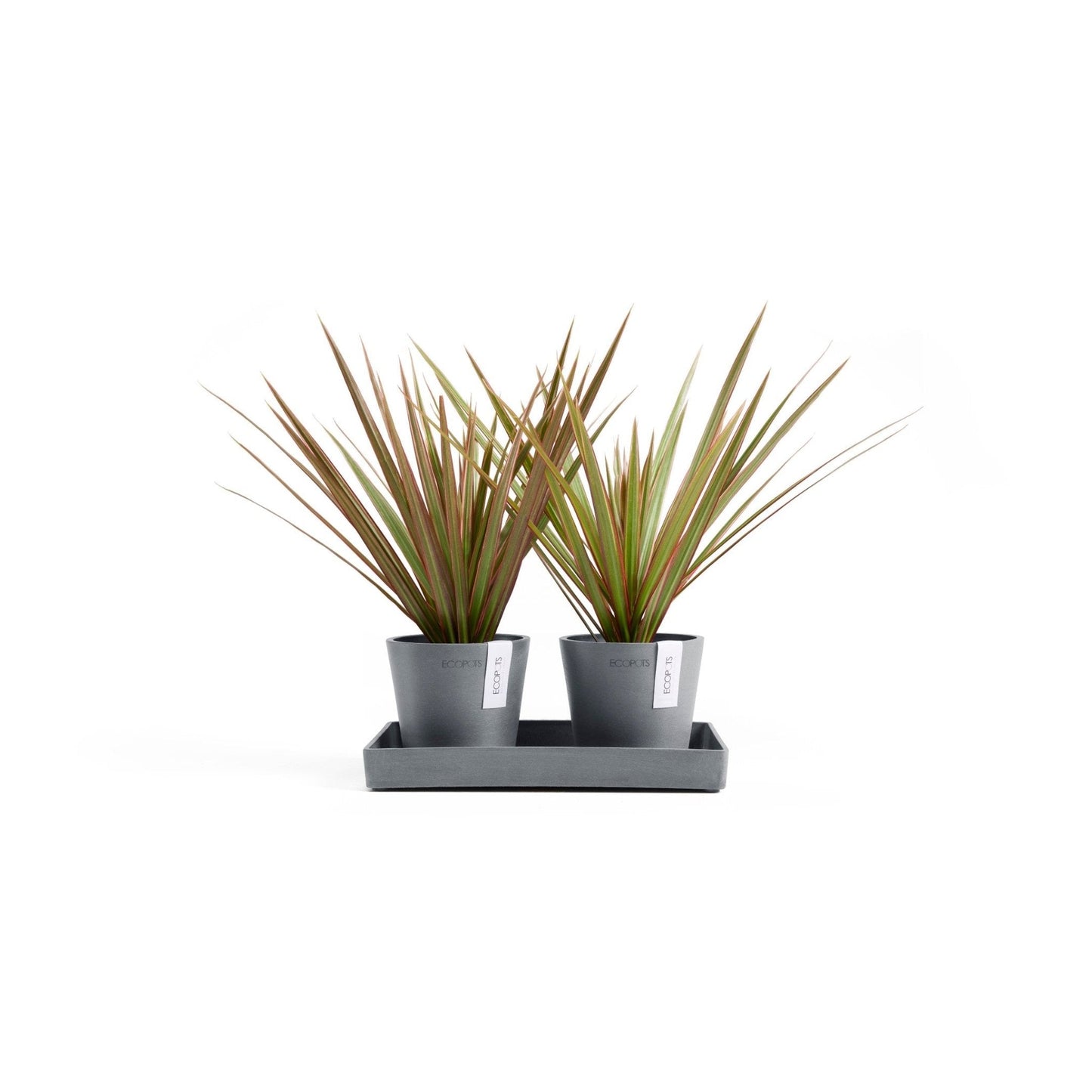 Kukkaruukku - Ecopots - Kukkaruukku Amsterdam 10,5cm 2kpl & esillepanotarjotin 25cm siniharmaa - Ecopots - Uuden aikakauden kukkaruukku kierrätysmateriaalista