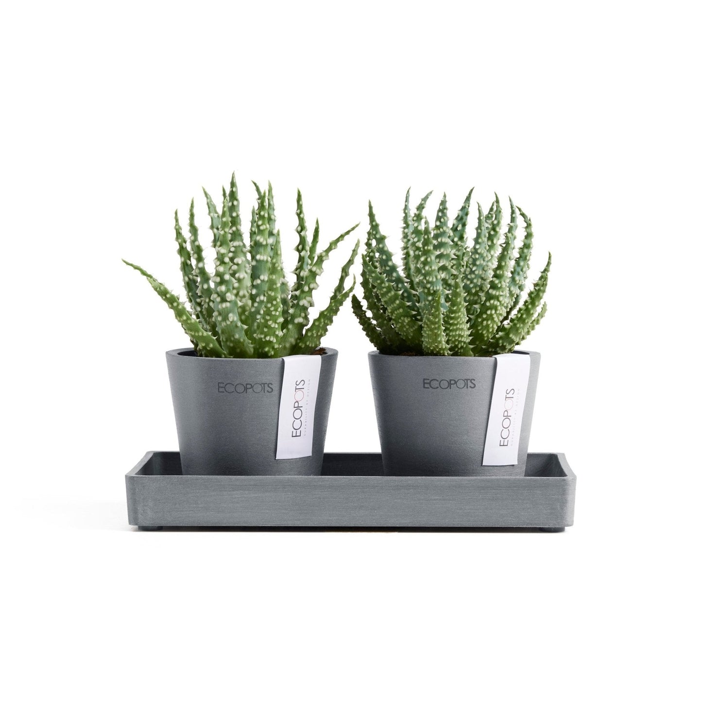 Kukkaruukku - Ecopots - Kukkaruukku Amsterdam 8cm 2kpl & esillepanotarjotin 20cm siniharmaa - Ecopots - Uuden aikakauden kukkaruukku kierrätysmateriaalista