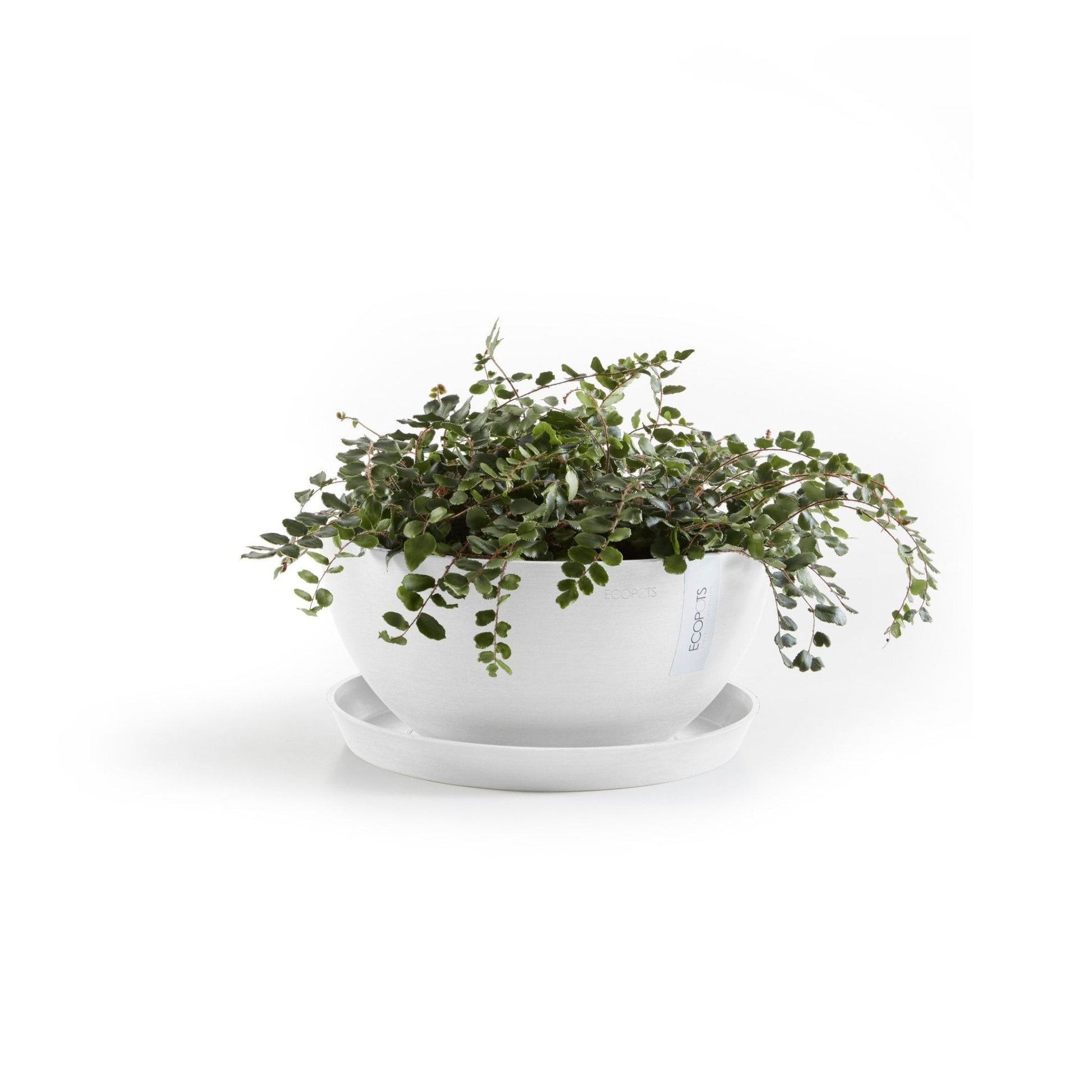 Kukkaruukku - Ecopots - Kukkaruukku Brysseli 25cm valkoinen - Ecopots - Uuden aikakauden kukkaruukku kierrätysmateriaalista