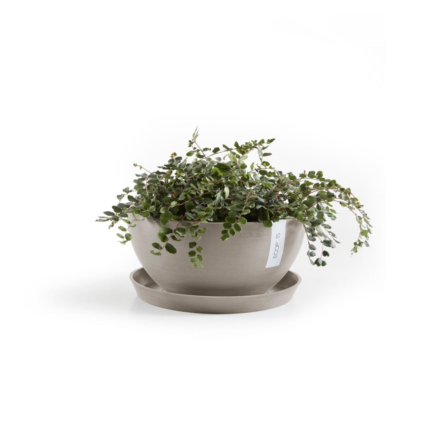 Kukkaruukku - Ecopots - Kukkaruukku Brysseli 35cm taupe - Ecopots - Uuden aikakauden kukkaruukku kierrätysmateriaalista