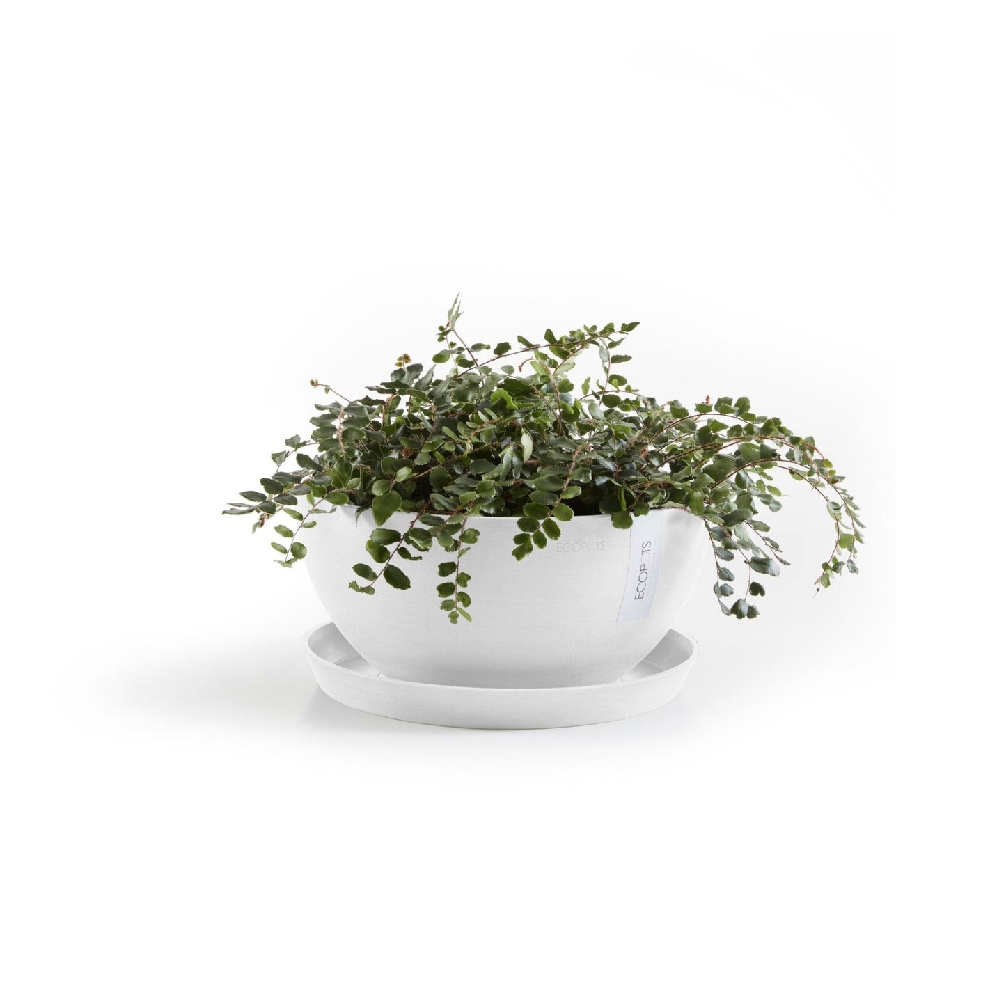 Kukkaruukku - Ecopots - Kukkaruukku Brysseli 35cm valkoinen - Ecopots - Uuden aikakauden kukkaruukku kierrätysmateriaalista