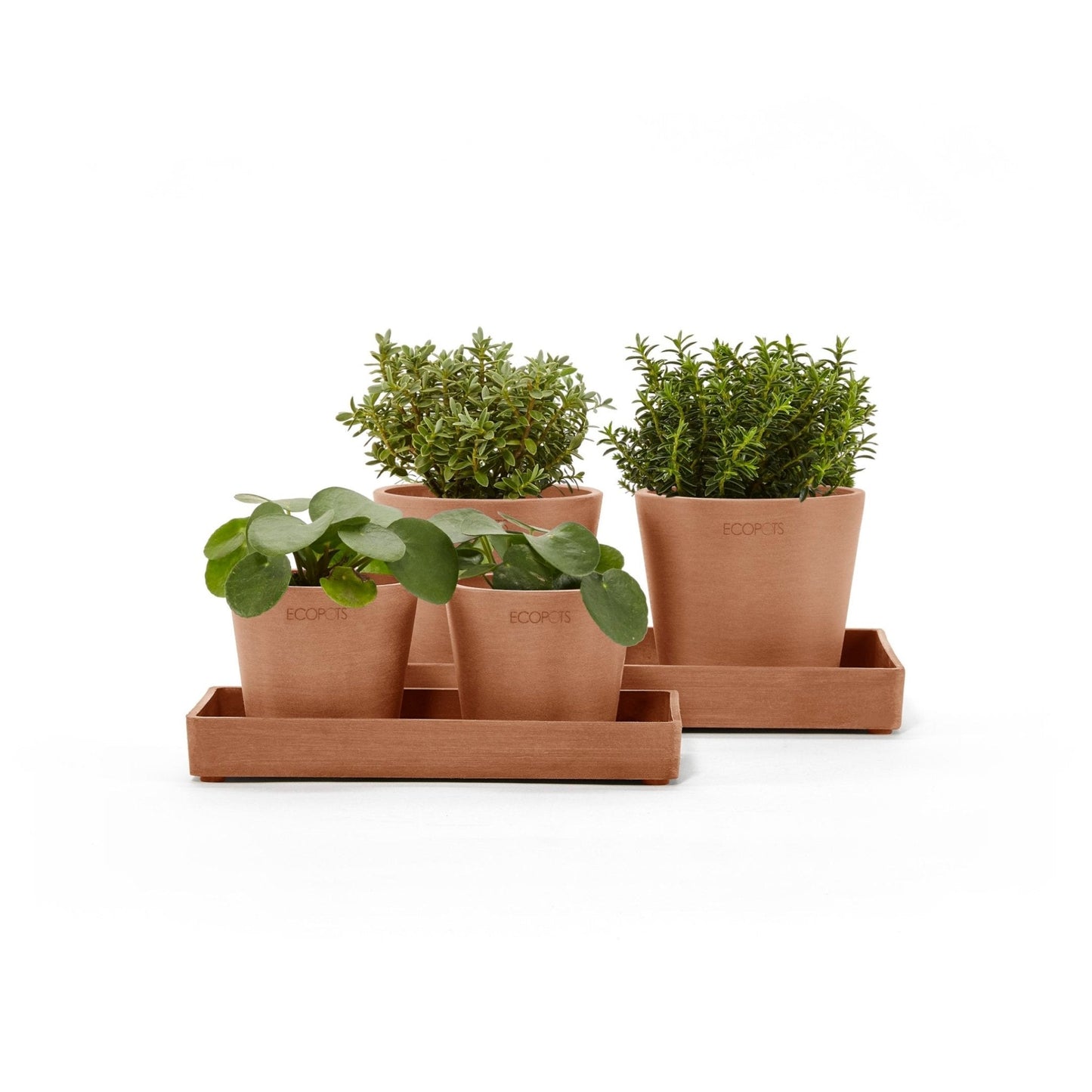 Kukkaruukku - Ecopots - Kukkaruukku esillepanotarjotin 20cm terracotta - Ecopots - Uuden aikakauden kukkaruukku kierrätysmateriaalista