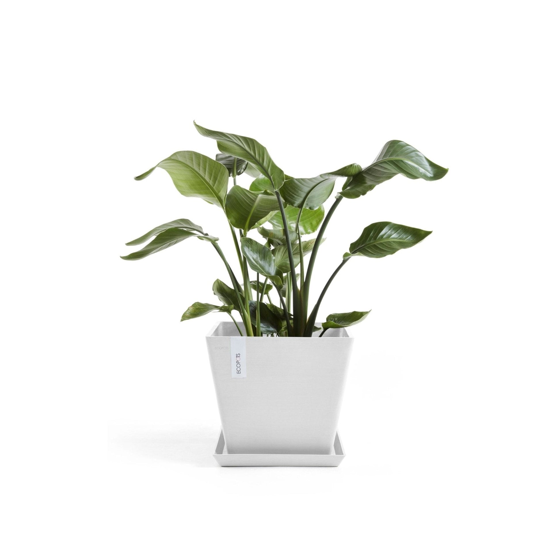 Kukkaruukku - Ecopots - Kukkaruukku Rotterdam 30cm valkoinen - Ecopots - Uuden aikakauden kukkaruukku kierrätysmateriaalista