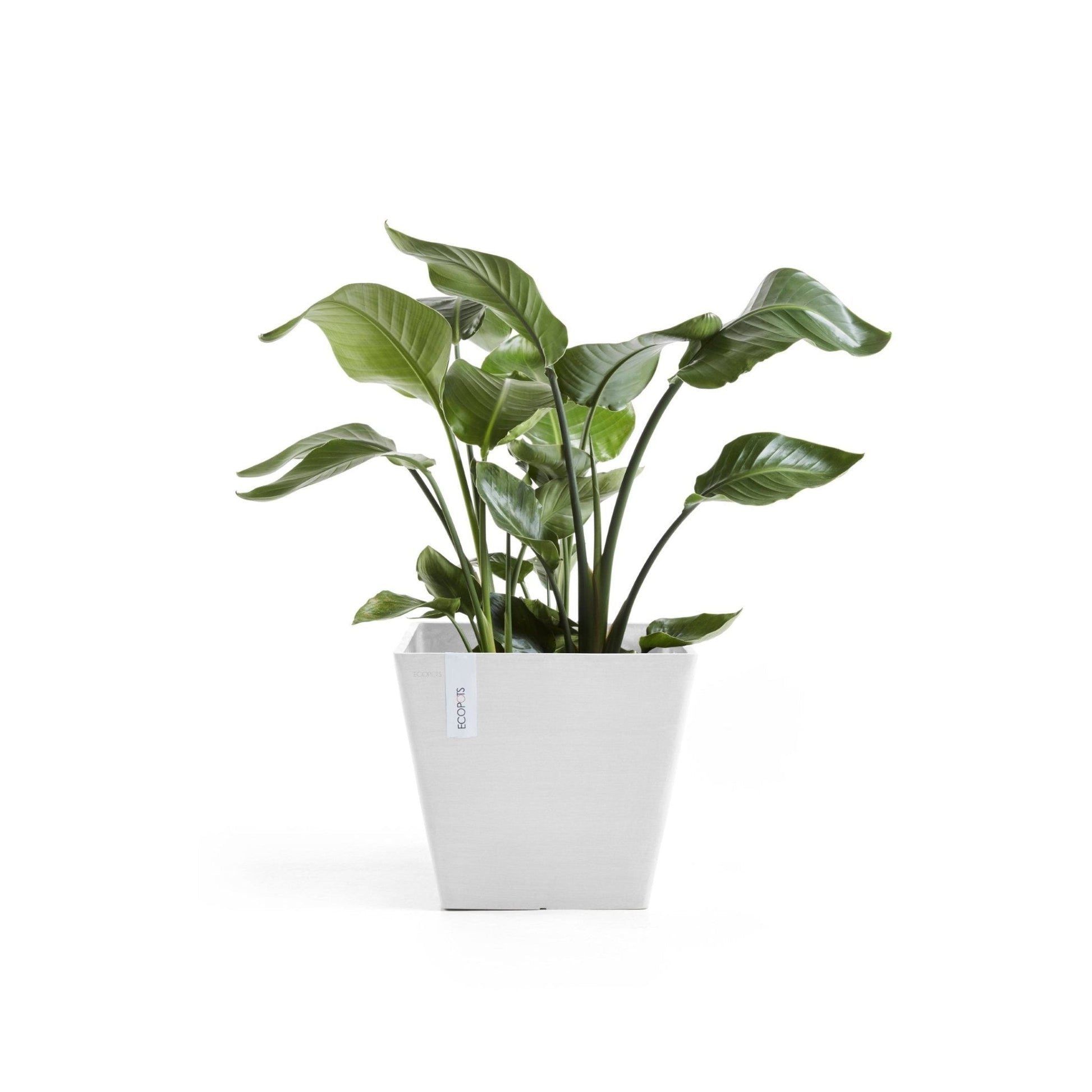 Kukkaruukku - Ecopots - Kukkaruukku Rotterdam 30cm valkoinen - Ecopots - Uuden aikakauden kukkaruukku kierrätysmateriaalista