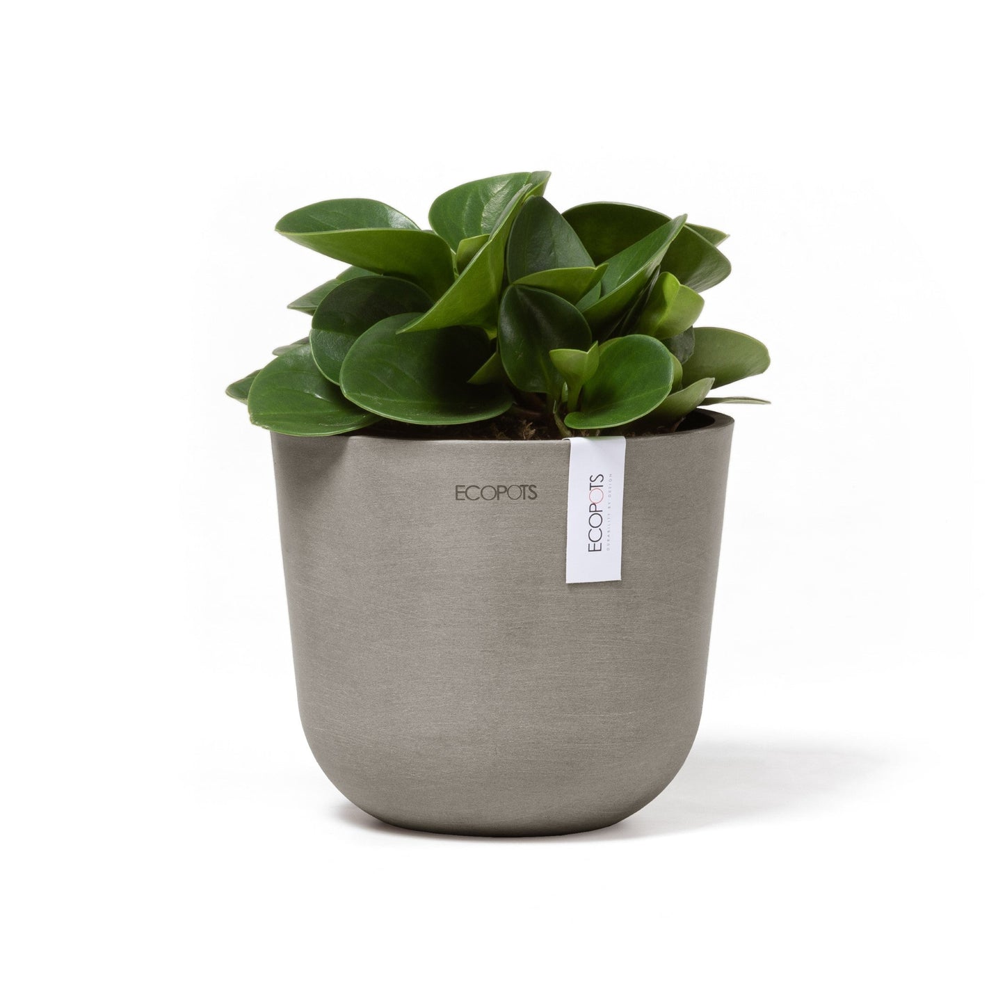 Kukkaruukku - Ecopots - Oslo 16cm taupe - Ecopotskauppa - Uuden aikakauden kukkaruukku