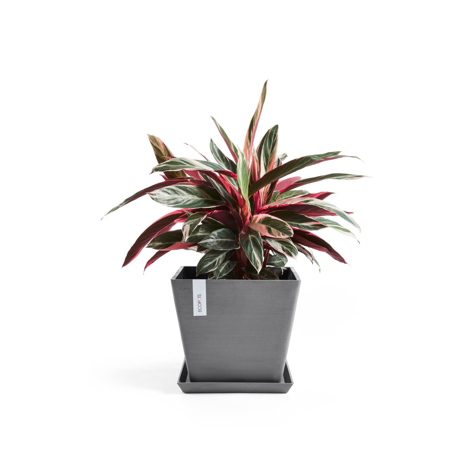 Kukkaruukku - Ecopots - Rotterdam 50cm harmaa - Ecopotskauppa - Uuden aikakauden kukkaruukku