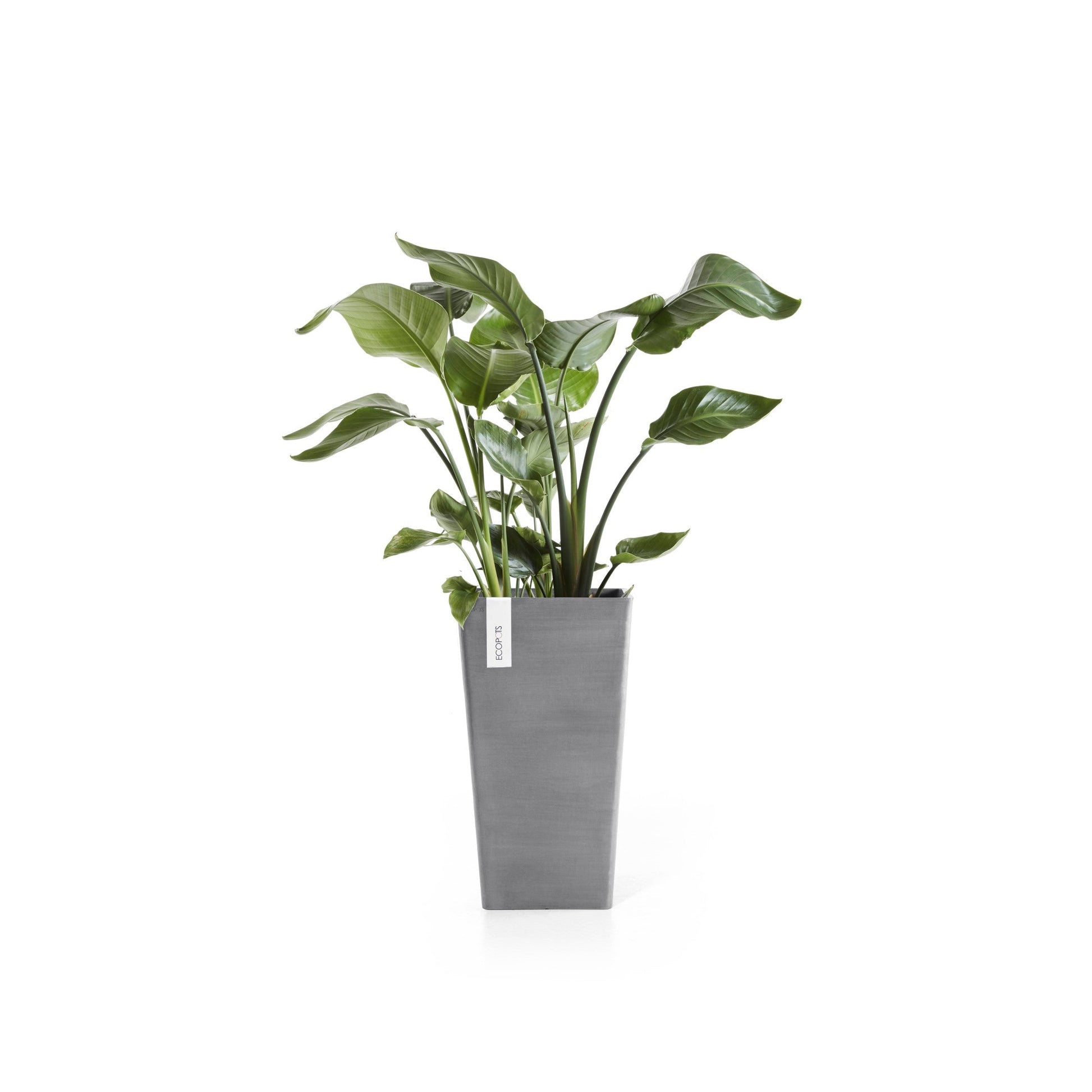 Kukkaruukku - Ecopots - Rotterdam keskikorkea 56cm harmaa - Ecopotskauppa - Uuden aikakauden kukkaruukku