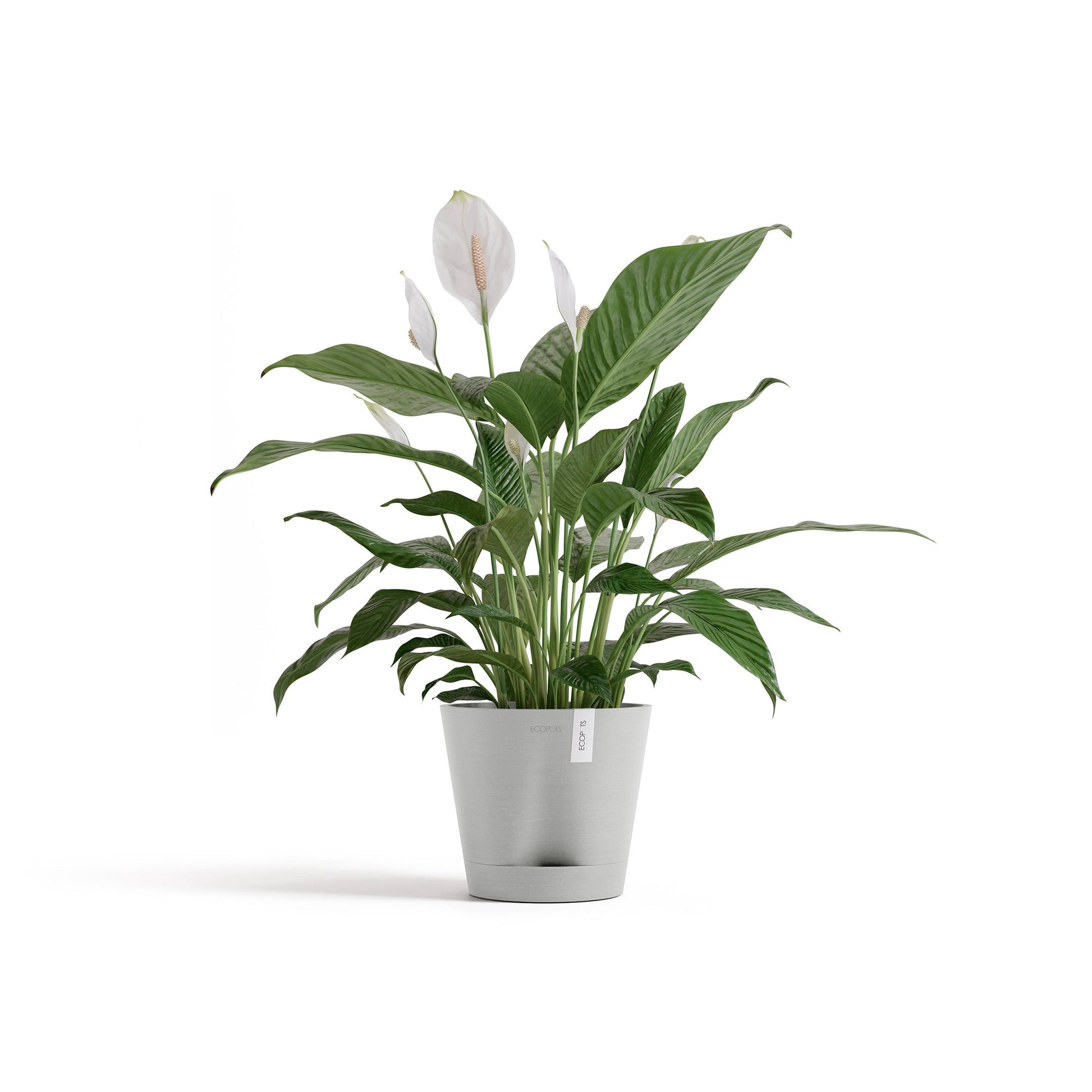 Kukkaruukku - Ecopots - Venetsia 2.0 20cm valkoharmaa - Ecopotskauppa - Uuden aikakauden kukkaruukku